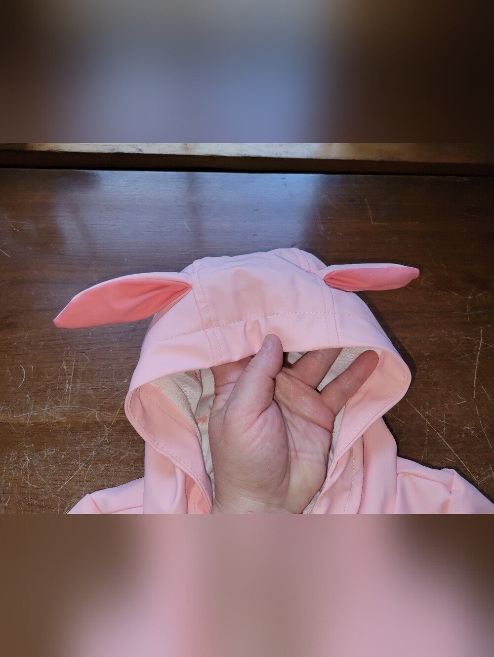 Cat & Jack 2T Rabbit Rain Jacket - Picture 7 of 9